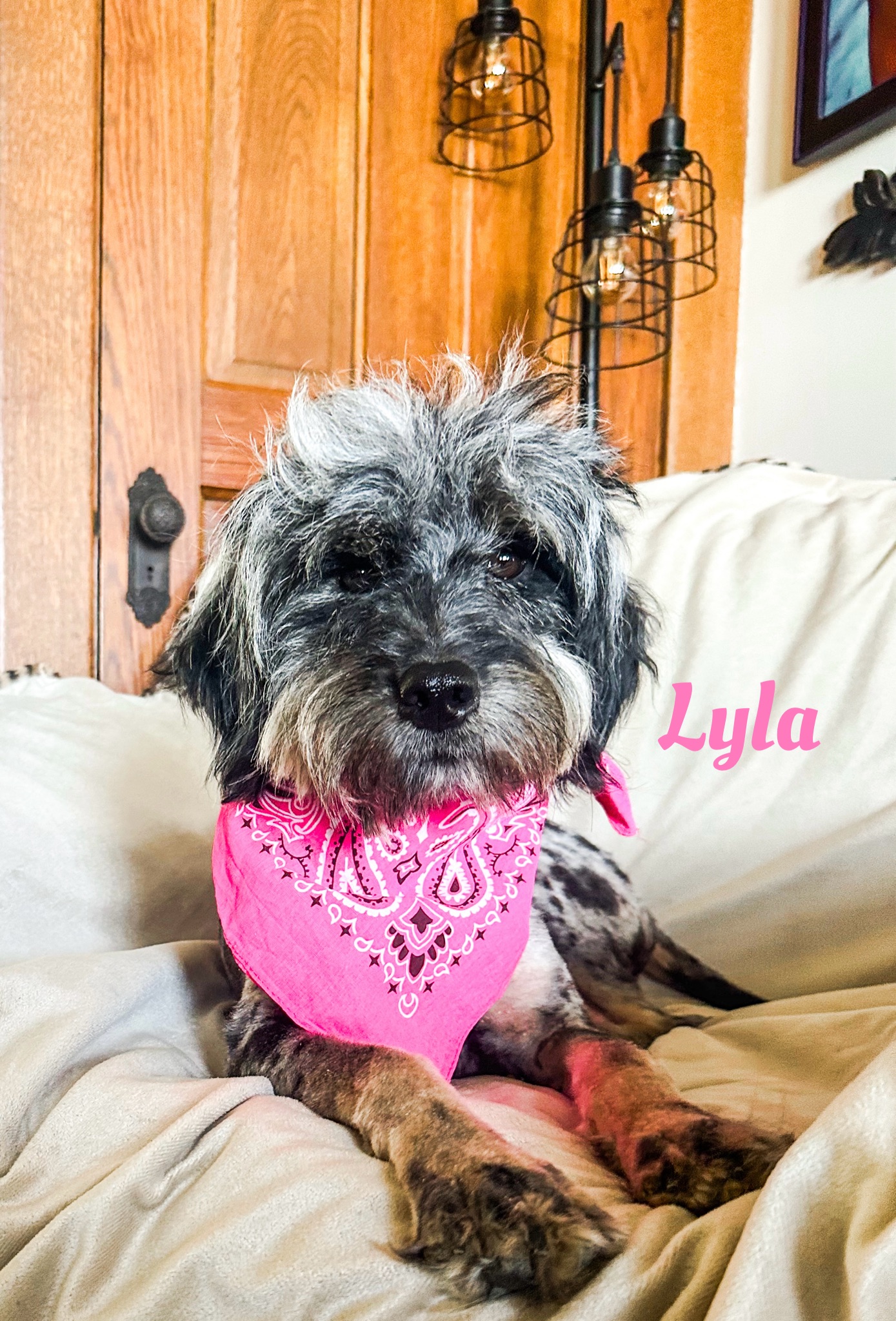 Lyla 
